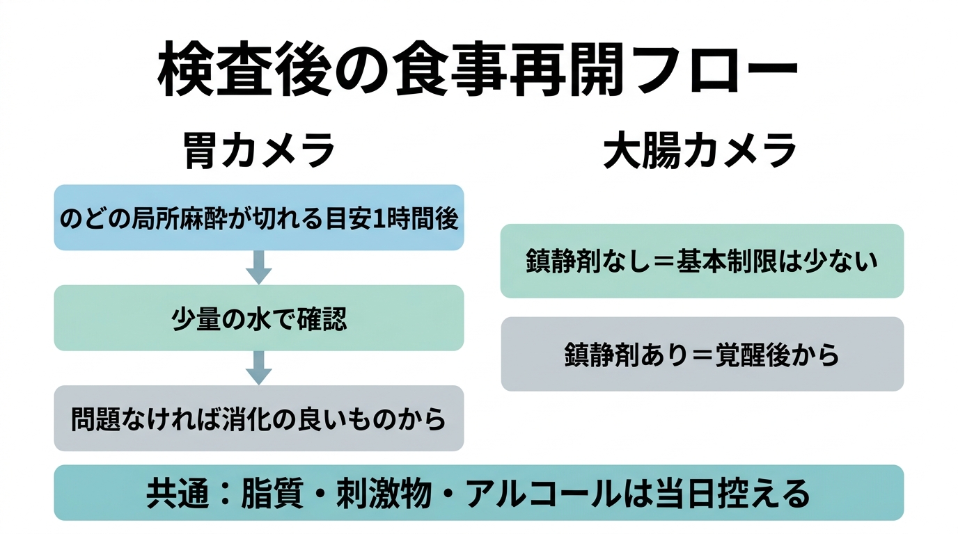 内視鏡検査前後の食事ガイド｜前日・当日・検査後に食べていいものと避けるものの解説画像