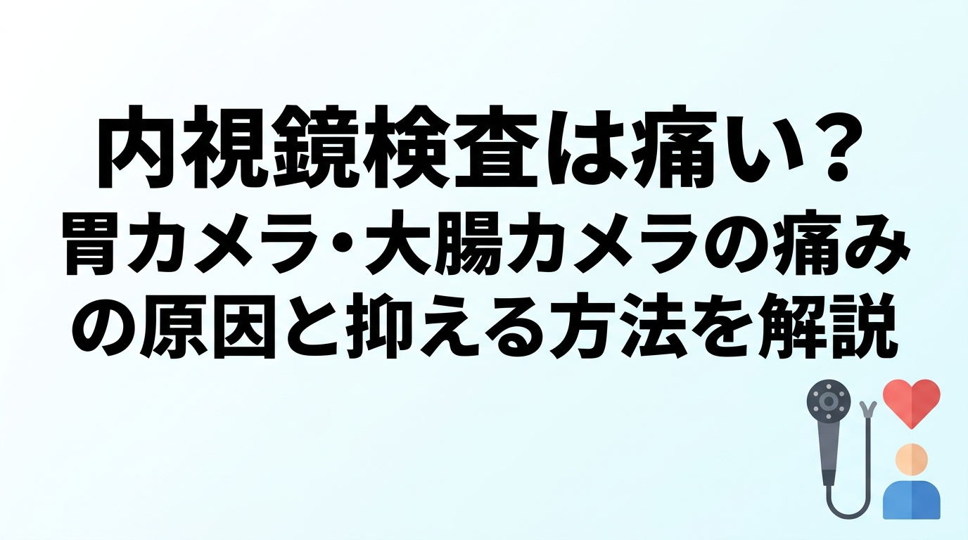 内視鏡検査は痛い？胃カメラ・大腸カメラの痛みの原因と抑える方法を解説