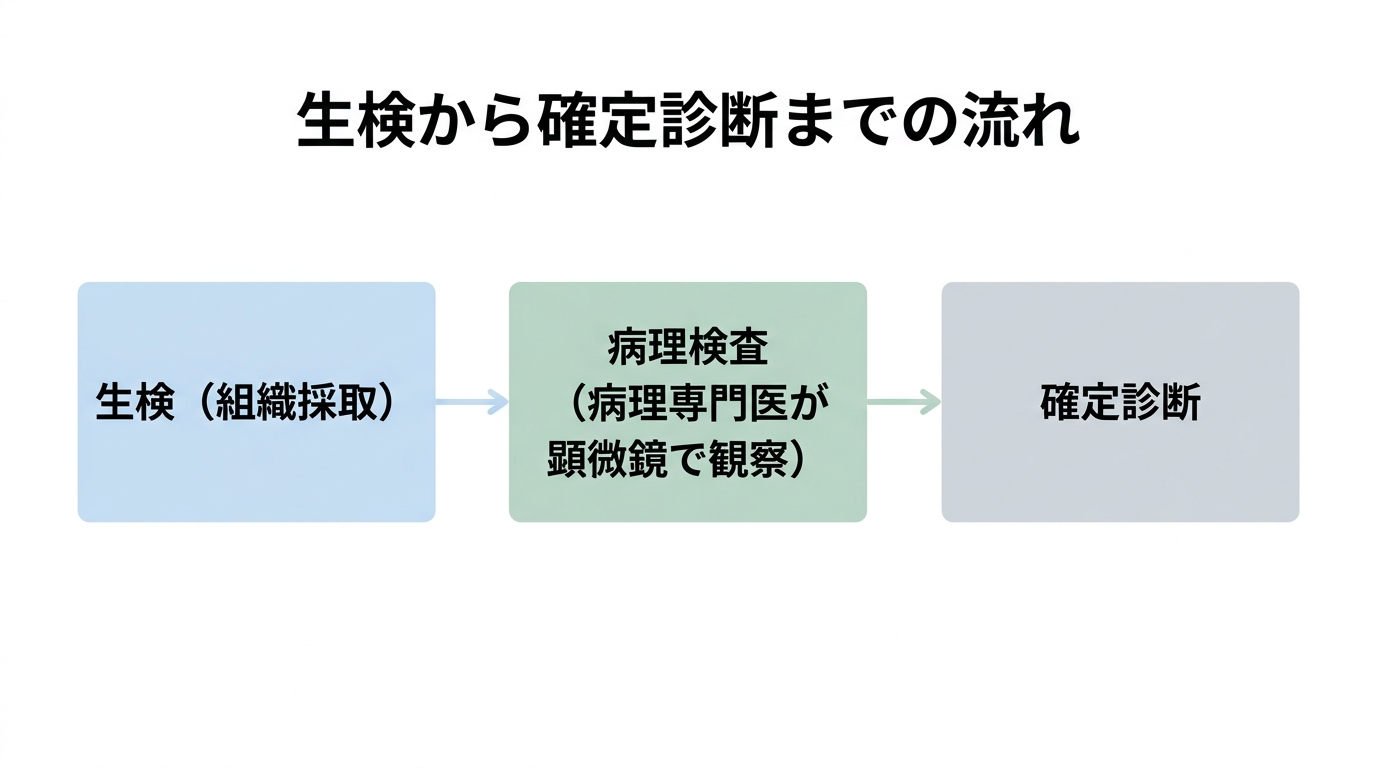 胃内視鏡検査の生検とは｜がんの不安・痛み・費用・結果が出るまで解説の解説画像