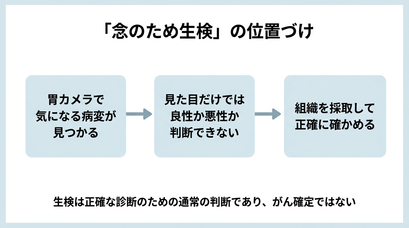 胃内視鏡検査の生検とは｜がんの不安・痛み・費用・結果が出るまで解説の解説画像