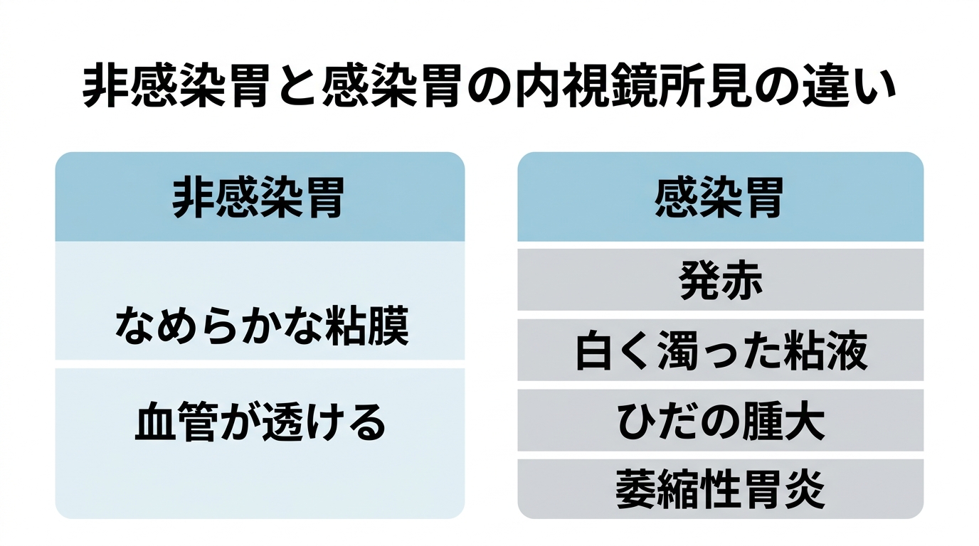 胃内視鏡検査でピロリ菌はわかる？検査方法から除菌・保険費用まで解説の解説画像