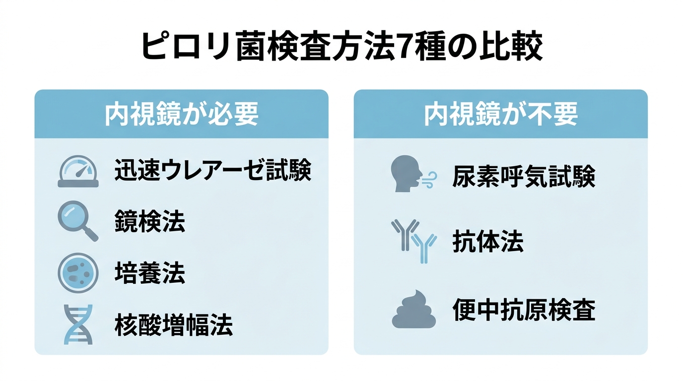 胃内視鏡検査でピロリ菌はわかる？検査方法から除菌・保険費用まで解説の解説画像