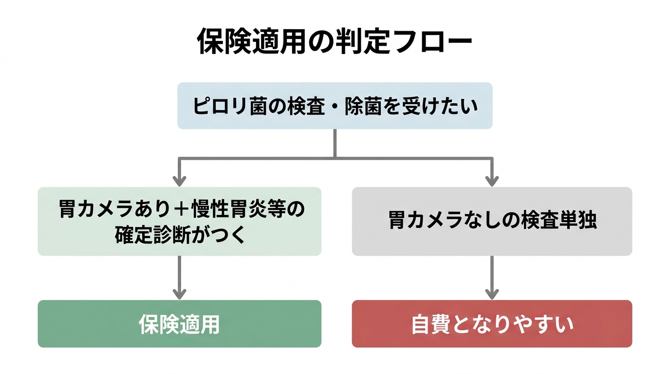 胃内視鏡検査でピロリ菌はわかる？検査方法から除菌・保険費用まで解説の解説画像