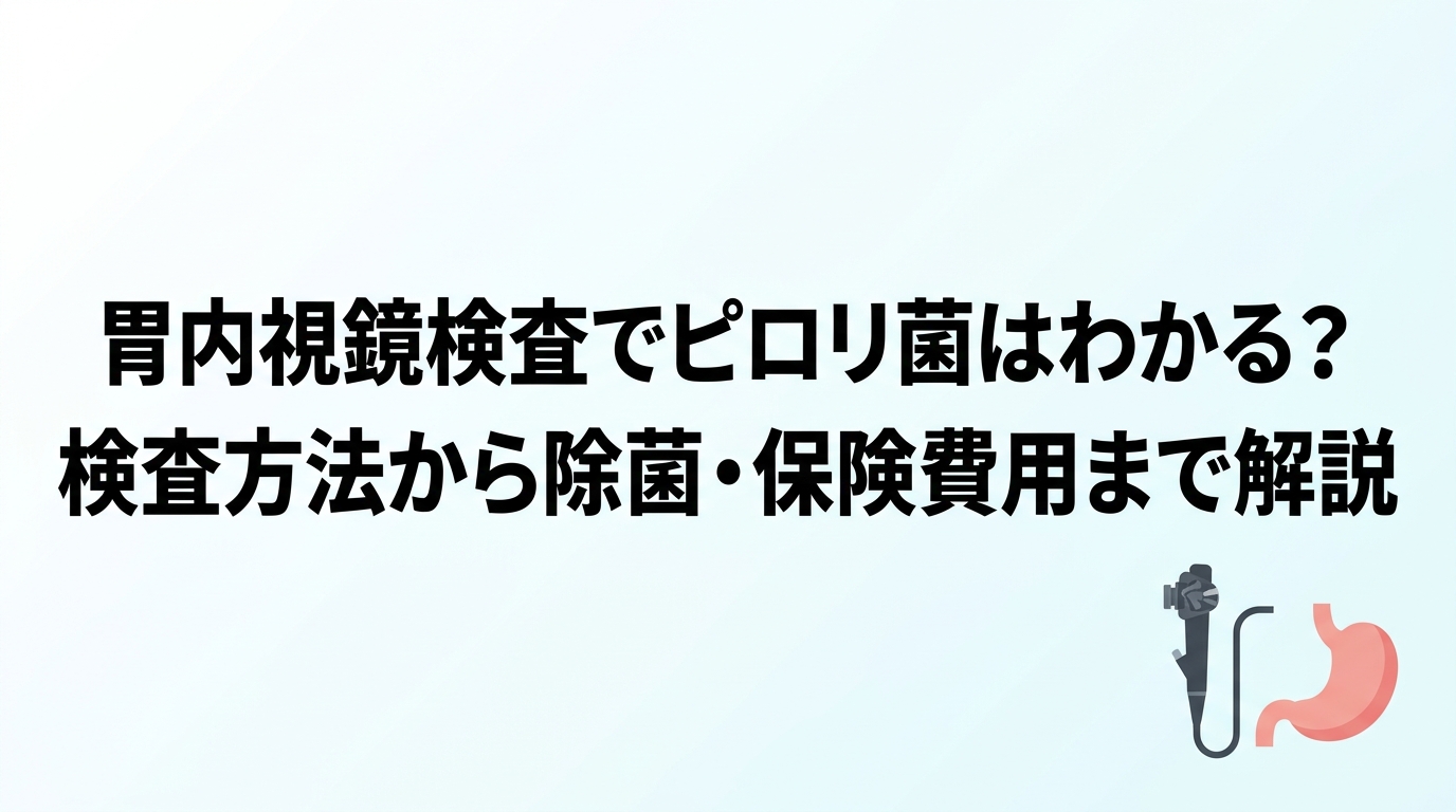 胃内視鏡検査でピロリ菌はわかる？検査方法から除菌・保険費用まで解説
