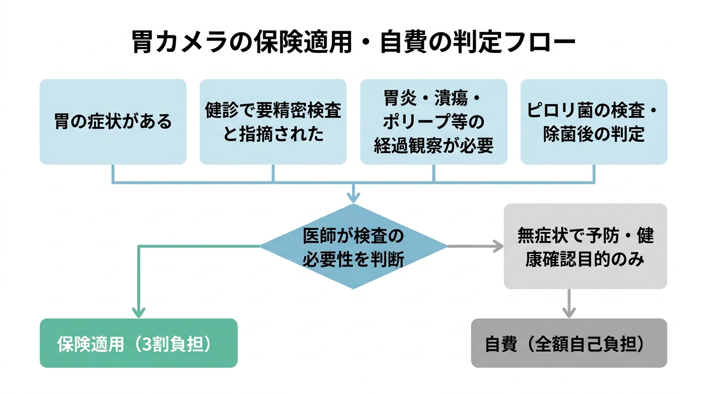 胃カメラを保険適用にするには？対象となる条件と正しい受診の仕方を解説の解説画像